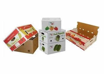 Offset Printing Box